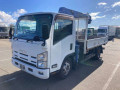 2012 Isuzu Elf Truck
