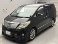 2010 Toyota Alphard