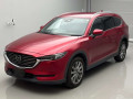 2019 Mazda CX-8