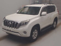 2015 Toyota Land Cruiser Prado