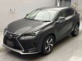 2021 Lexus NX