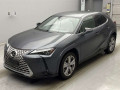 2022 Lexus UX