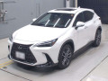 2023 Lexus NX