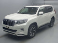 2019 Toyota Land Cruiser Prado