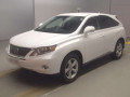 2009 Lexus RX