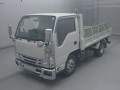 2020 Isuzu Elf Truck