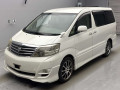 2007 Toyota Alphard