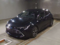 2020 Toyota Corolla Sports