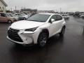 2014 Lexus NX