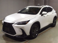 2023 Lexus NX