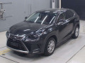 2019 Lexus NX
