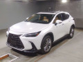 2022 Lexus NX