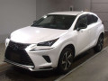 2020 Lexus NX