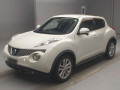 2011 Nissan JUKE