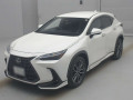 2022 Lexus NX