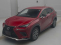 2019 Lexus NX