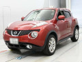 2010 Nissan JUKE