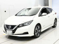 2020 Nissan Leaf