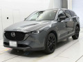 2023 Mazda CX-8