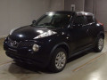 2011 Nissan JUKE