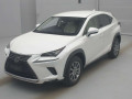 2019 Lexus NX