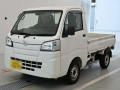 2019 Daihatsu Hijet Truck