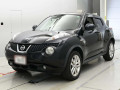 2013 Nissan JUKE