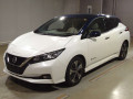 2020 Nissan Leaf