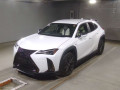 2021 Lexus UX