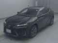 2020 Lexus UX