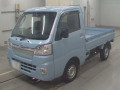 2020 Daihatsu Hijet Truck