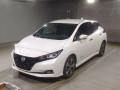 2021 Nissan Leaf