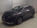 2020 Lexus NX