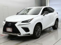 2020 Lexus NX
