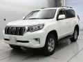 2019 Toyota Land Cruiser Prado