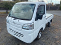 2019 Daihatsu Hijet Truck