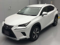 2019 Lexus NX