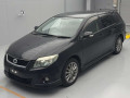 2009 Toyota Corolla Fielder