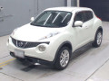 2011 Nissan JUKE