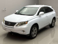 2010 Lexus RX
