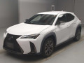 2021 Lexus UX