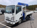 2019 Isuzu Elf Truck