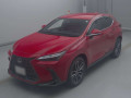 2024 Lexus NX