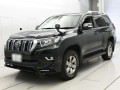 2019 Toyota Land Cruiser Prado