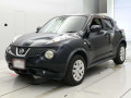 2011 Nissan JUKE