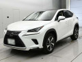 2019 Lexus NX