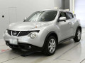 2011 Nissan JUKE