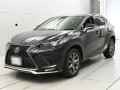 2020 Lexus NX