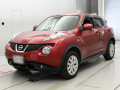 2011 Nissan JUKE