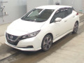 2019 Nissan Leaf